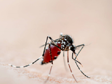 麻涌消杀蚊虫机构夏季如何有效预防蚊子叮咬