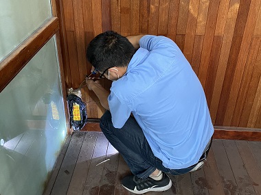 横沥白蚁备案中心秋季白蚁防治的那些“坑”