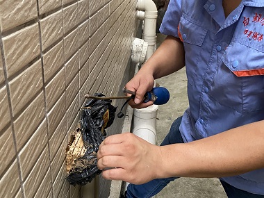 塘厦白蚁验收中心房屋建筑如何灭治白蚁危害